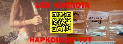 крисы Брянск